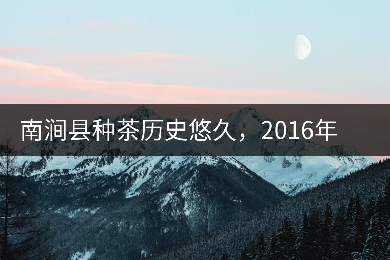 南澗縣種茶歷史悠久，2016年被評(píng)為全國十大生態(tài)產(chǎn)茶縣