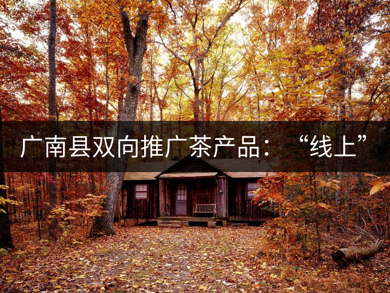 廣南縣雙向推廣茶產(chǎn)品：“線上”銷售茶葉已有100多家，“線下”銷售額已達(dá)百萬