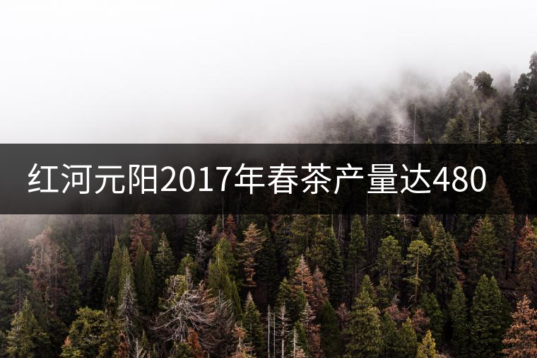紅河元陽(yáng)2017年春茶產(chǎn)量達(dá)480噸，產(chǎn)值近900萬(wàn)元