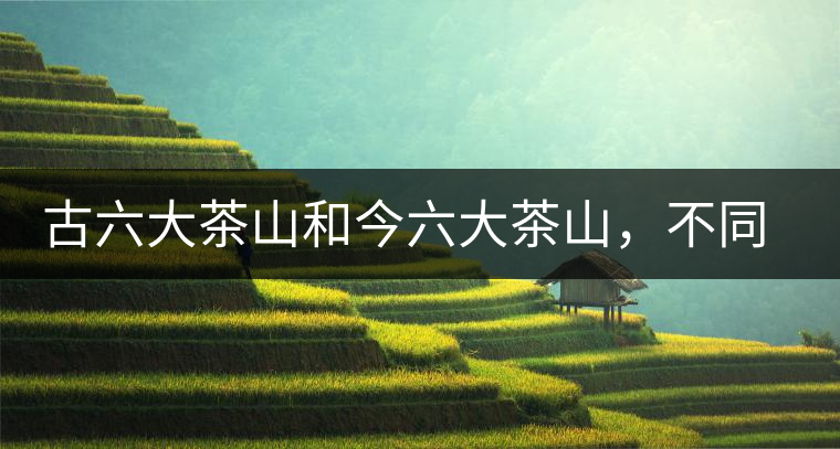 古六大茶山和今六大茶山，不同普洱茶品質(zhì)