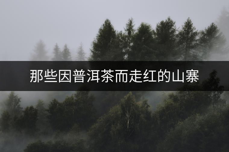 那些因普洱茶而走紅的山寨 那些因普洱茶而走紅的山寨