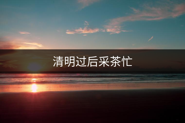 清明過后采茶忙 清明過后采茶忙