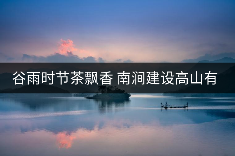 谷雨時(shí)節(jié)茶飄香 南澗建設(shè)高山有機(jī)茶葉生產(chǎn)基地