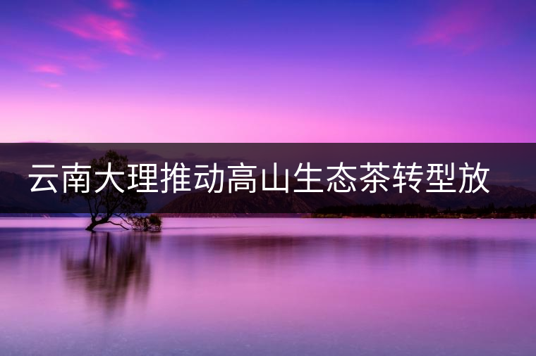 云南大理推動(dòng)高山生態(tài)茶轉(zhuǎn)型放大產(chǎn)業(yè)優(yōu)勢(shì)