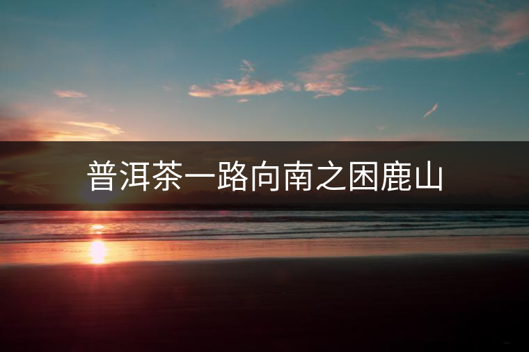 普洱茶一路向南之困鹿山 普洱茶一路向南之困鹿山