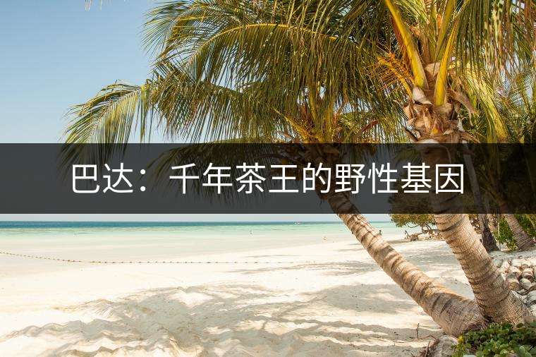 巴達:千年茶王的野性基因 巴達:千年茶王的野性基因