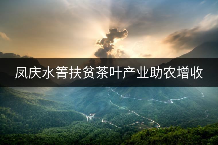 鳳慶水箐扶貧茶葉產(chǎn)業(yè)助農(nóng)增收 鳳慶水箐扶貧茶葉產(chǎn)業(yè)助農(nóng)增收