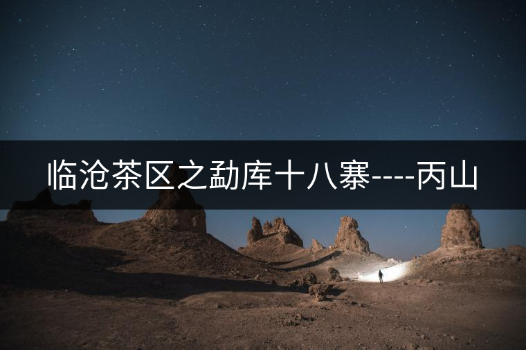 臨滄茶區(qū)之勐庫(kù)十八寨----丙山