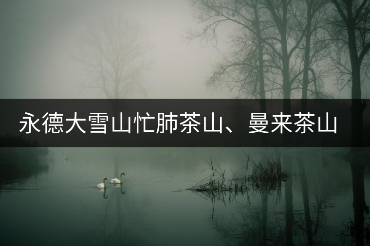 永德大雪山忙肺茶山、曼來茶山、放牛場茶園的生態(tài)指數(shù)