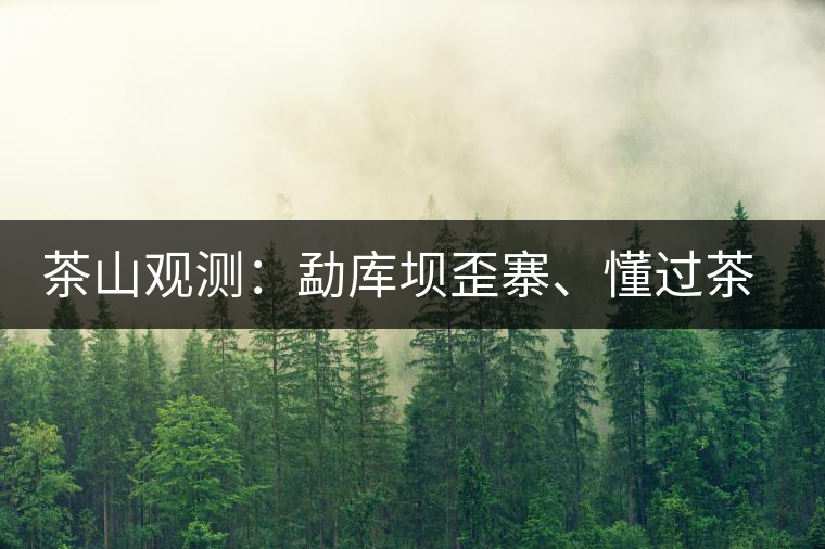 茶山觀測：勐庫壩歪寨、懂過茶山、大戶寨等茶山的生態(tài)指數(shù)