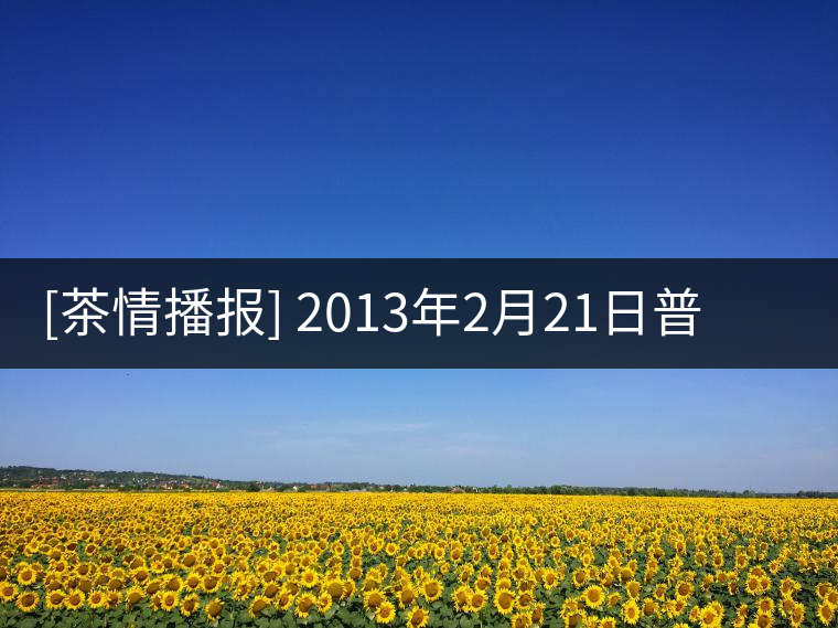 [茶情播報(bào)] 2013年2月21日普洱茶山情況