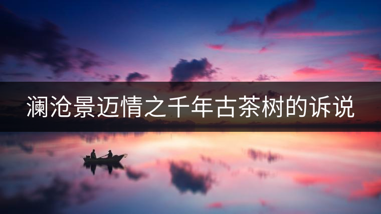 瀾滄景邁情之千年古茶樹(shù)的訴說(shuō) 瀾滄景邁情之千年古茶樹(shù)的訴說(shuō)