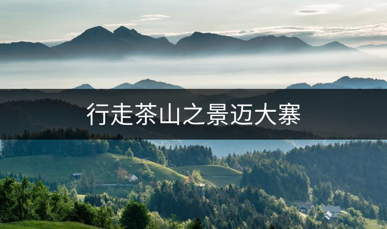 行走茶山之景邁大寨 行走茶山之景邁大寨