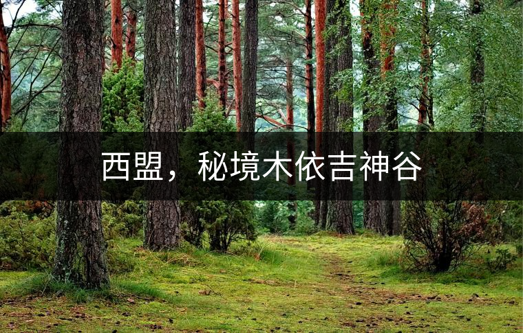 西盟，秘境木依吉神谷