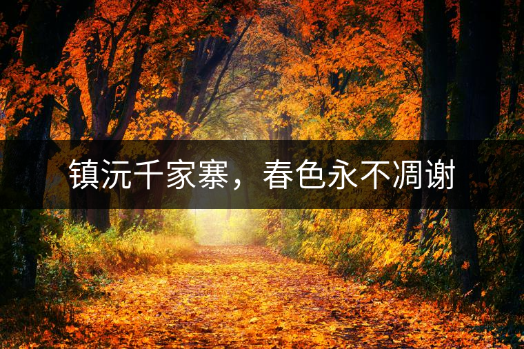 鎮(zhèn)沅千家寨，春色永不凋謝