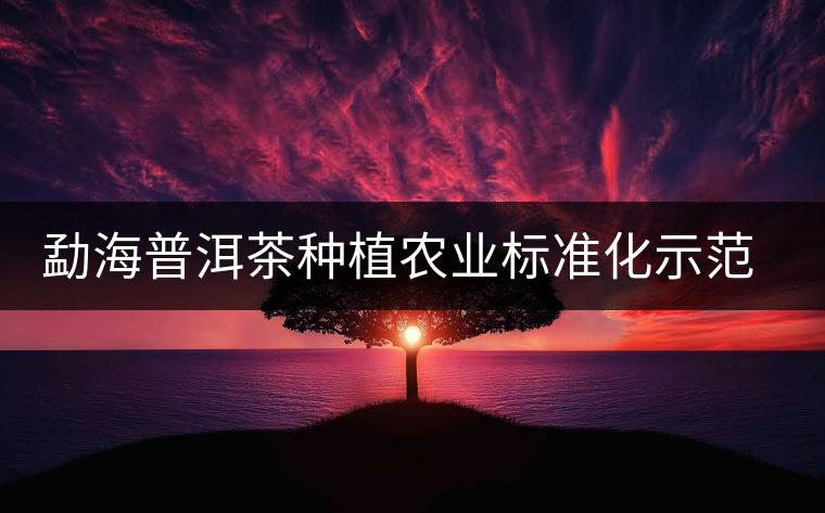 勐海普洱茶種植農(nóng)業(yè)標(biāo)準(zhǔn)化示范區(qū)通過(guò)標(biāo)準(zhǔn)審查 勐海普洱茶種植農(nóng)業(yè)標(biāo)準(zhǔn)化示范區(qū)通過(guò)標(biāo)準(zhǔn)審查