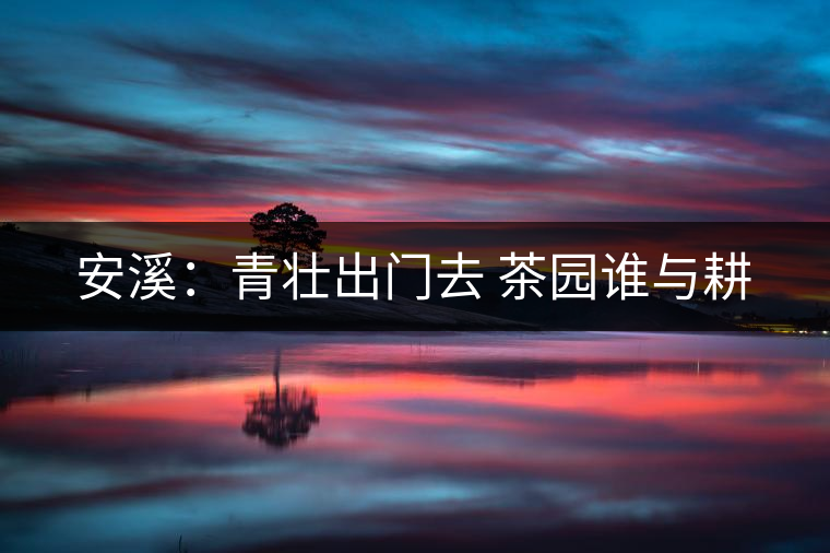 安溪:青壯出門去 茶園誰與耕 安溪:青壯出門去 茶園誰與耕