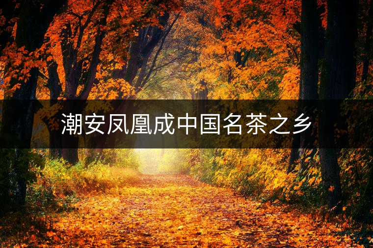 潮安鳳凰成中國名茶之鄉(xiāng)