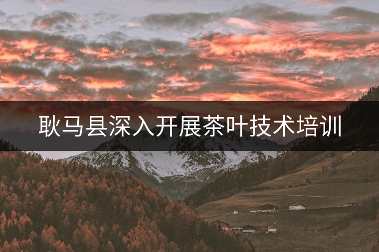 耿馬縣深入開(kāi)展茶葉技術(shù)培訓(xùn)