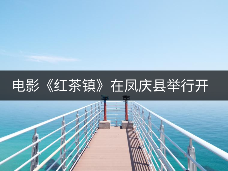 電影《紅茶鎮(zhèn)》在鳳慶縣舉行開(kāi)機(jī)儀式