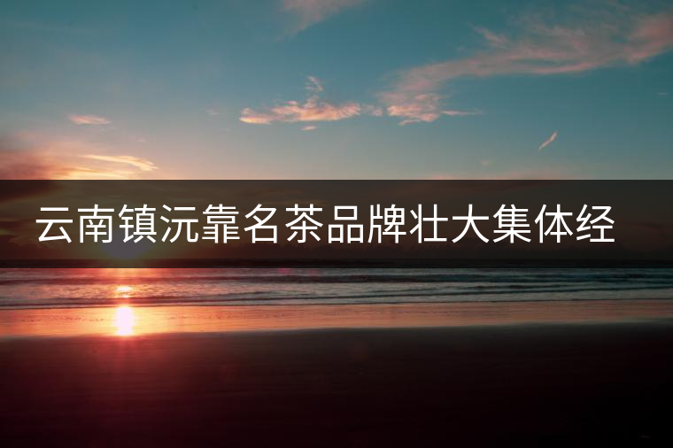 云南鎮(zhèn)沅靠名茶品牌壯大集體經(jīng)濟 云南鎮(zhèn)沅靠名茶品牌壯大集體經(jīng)濟