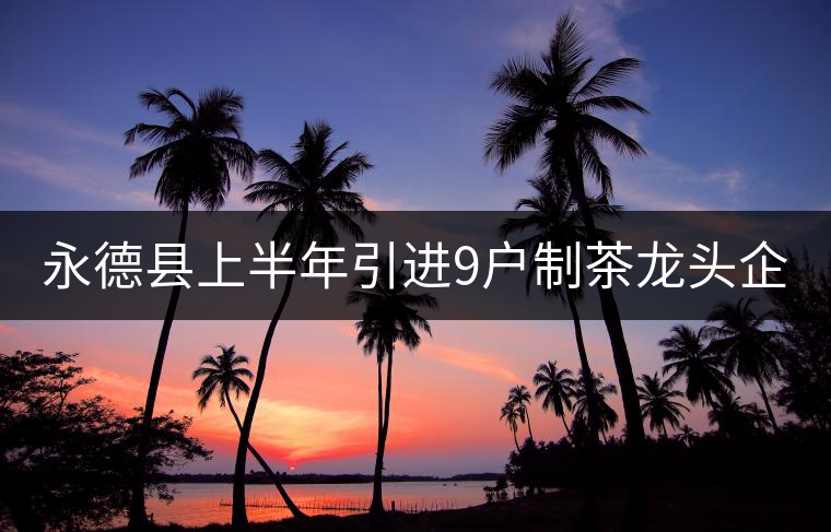 永德縣上半年引進(jìn)9戶制茶龍頭企業(yè) 永德縣上半年引進(jìn)9戶制茶龍頭企業(yè)