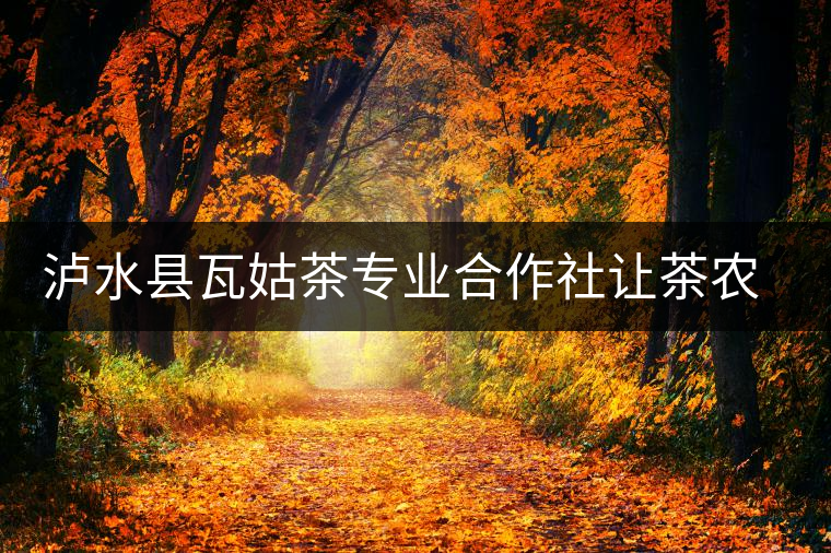 瀘水縣瓦姑茶專業(yè)合作社讓茶農(nóng)走上致富路