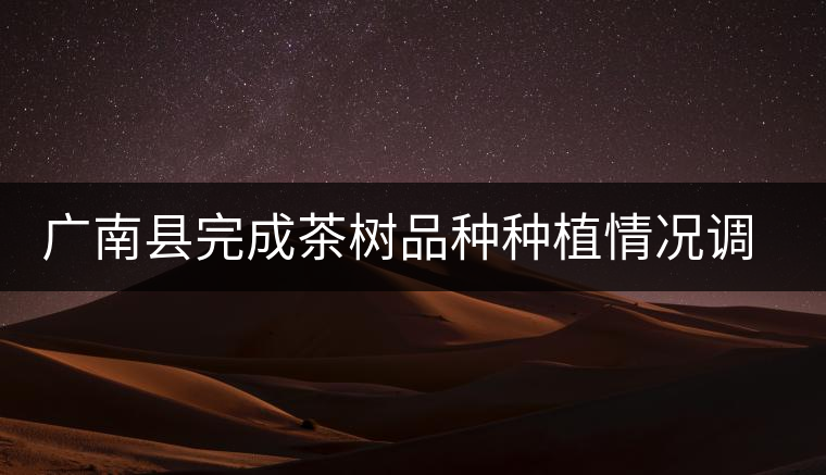 廣南縣完成茶樹品種種植情況調查工作 廣南縣完成茶樹品種種植情況調查工作