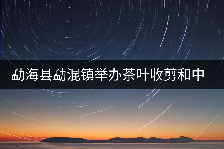 勐海縣勐混鎮(zhèn)舉辦茶葉收剪和中耕培土現(xiàn)場培訓(xùn)會
