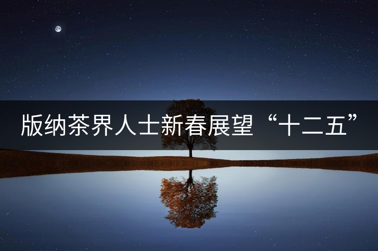 版納茶界人士新春展望“十二五” 版納茶界人士新春展望“十二五”