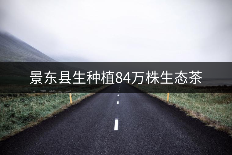 景東縣生種植84萬株生態(tài)茶 景東縣生種植84萬株生態(tài)茶