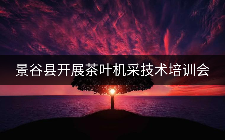 景谷縣開展茶葉機(jī)采技術(shù)培訓(xùn)會