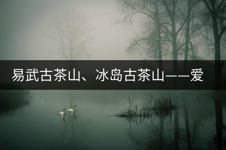 易武古茶山、冰島古茶山——愛茶人的旅游選擇
