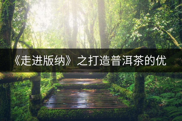 《走進(jìn)版納》之打造普洱茶的優(yōu)質(zhì)基地 《走進(jìn)版納》之打造普洱茶的優(yōu)質(zhì)基地