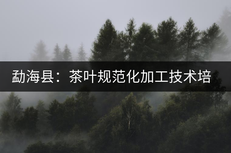 勐海縣:茶葉規(guī)范化加工技術(shù)培訓(xùn) 勐海縣:茶葉規(guī)范化加工技術(shù)培訓(xùn)