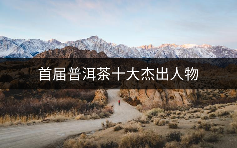 首屆普洱茶十大杰出人物 首屆普洱茶十大杰出人物