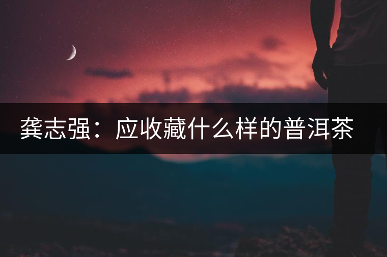龔志強：應(yīng)收藏什么樣的普洱茶才有價值