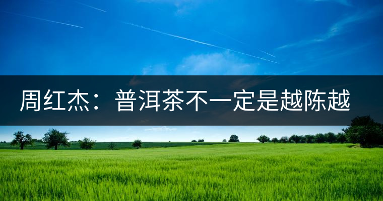 周紅杰：普洱茶不一定是越陳越香、越陳越好