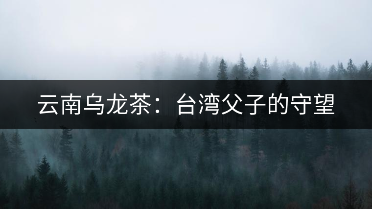 云南烏龍茶：臺灣父子的守望