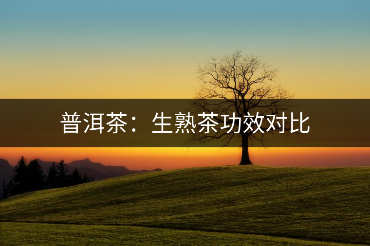 普洱茶:生熟茶功效對比 普洱茶:生熟茶功效對比