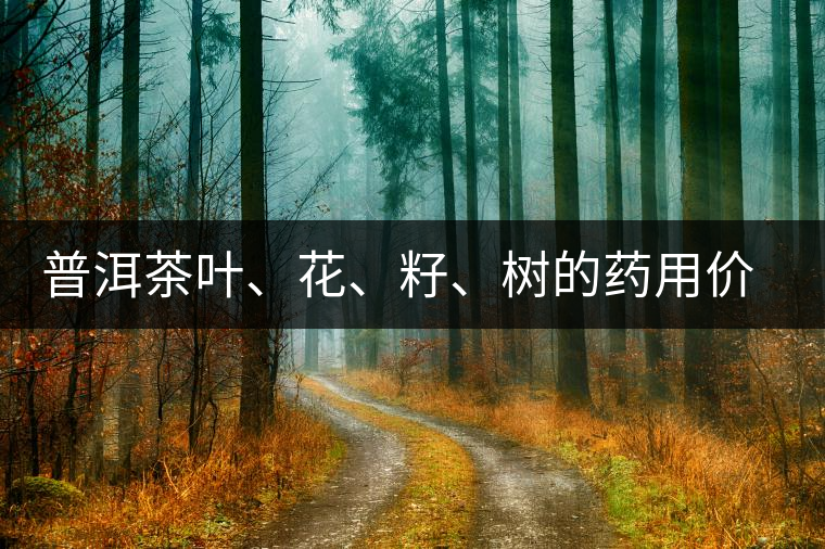 普洱茶葉、花、籽、樹的藥用價值