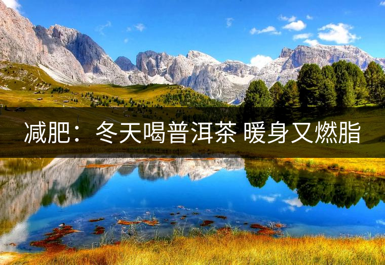 減肥：冬天喝普洱茶 暖身又燃脂