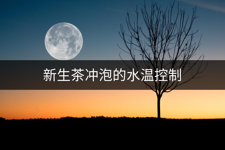 新生茶沖泡的水溫控制 新生茶沖泡的水溫控制