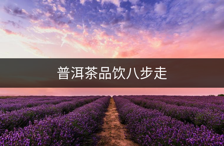 普洱茶品飲八步走 普洱茶品飲八步走