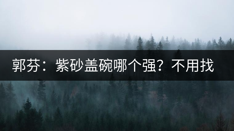 郭芬：紫砂蓋碗哪個強？不用找藍翔