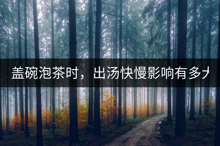 蓋碗泡茶時，出湯快慢影響有多大？