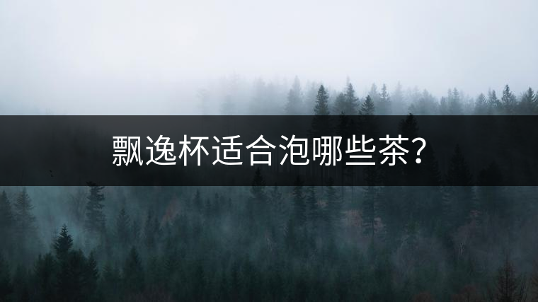 飄逸杯適合泡哪些茶？