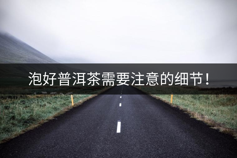 泡好普洱茶需要注意的細節(jié)！