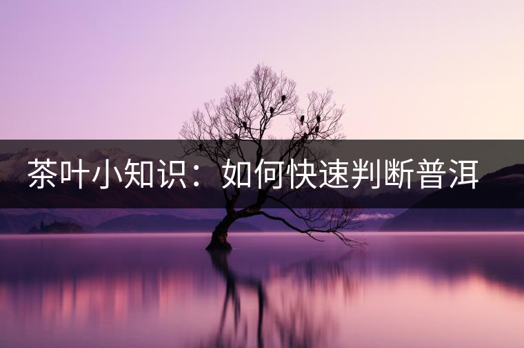 茶葉小知識：如何快速判斷普洱茶品級高低？