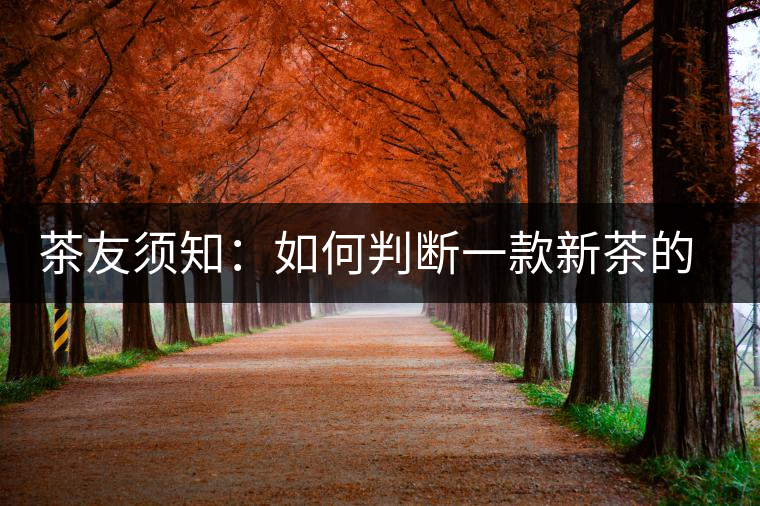 茶友須知：如何判斷一款新茶的陳化潛力？